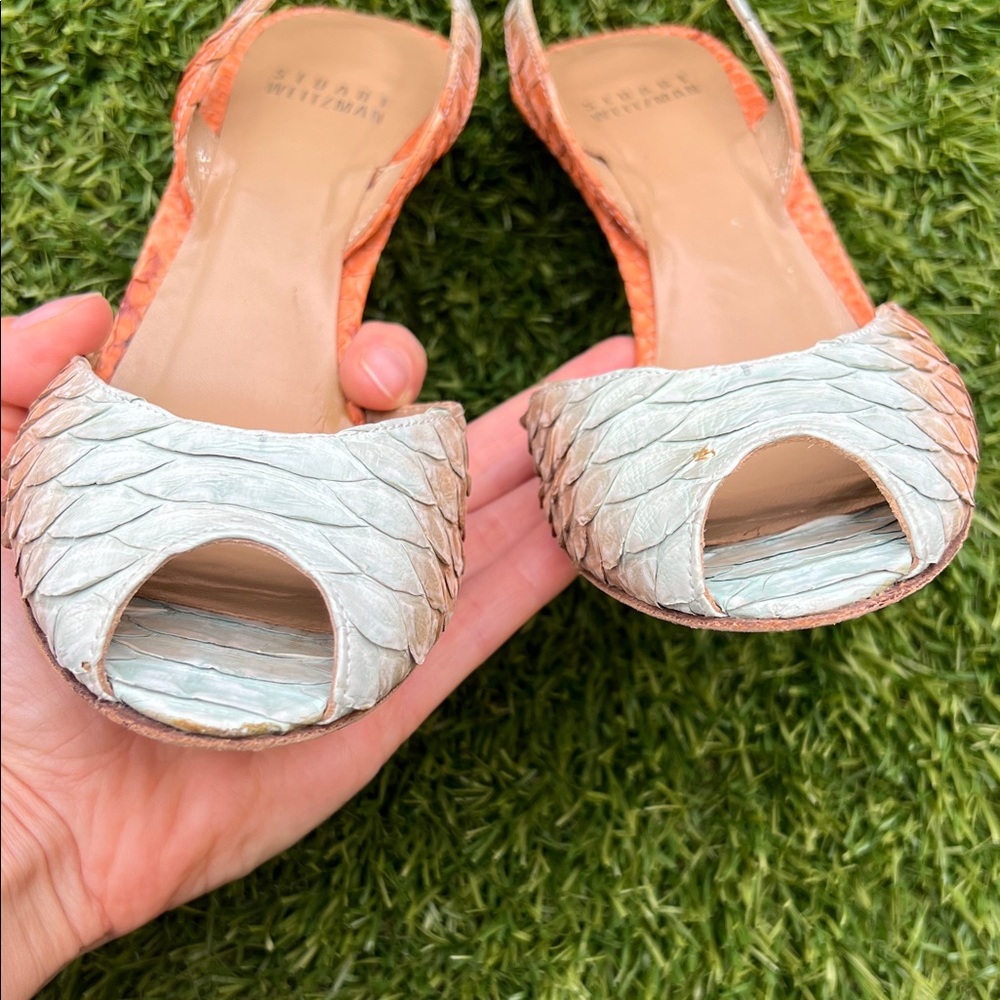 Stuart Weitzman Orangina Pantone Python size 5 1/2 - Picture 12 of 15